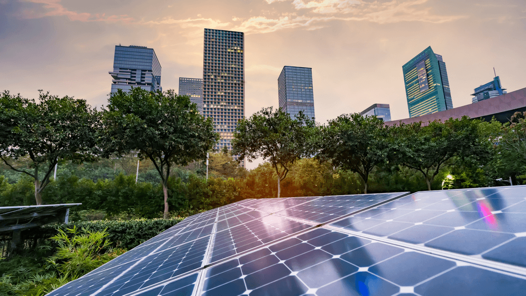 Solar panels in front of green trees next to a modern city