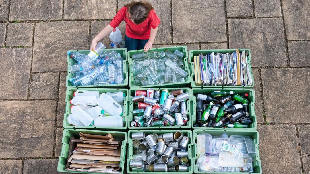 Adult sorting trash