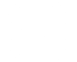 Plaex logo