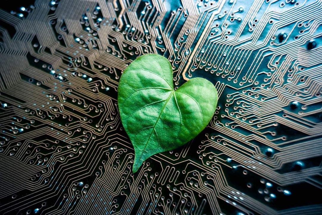 Circuit board with leaf on it