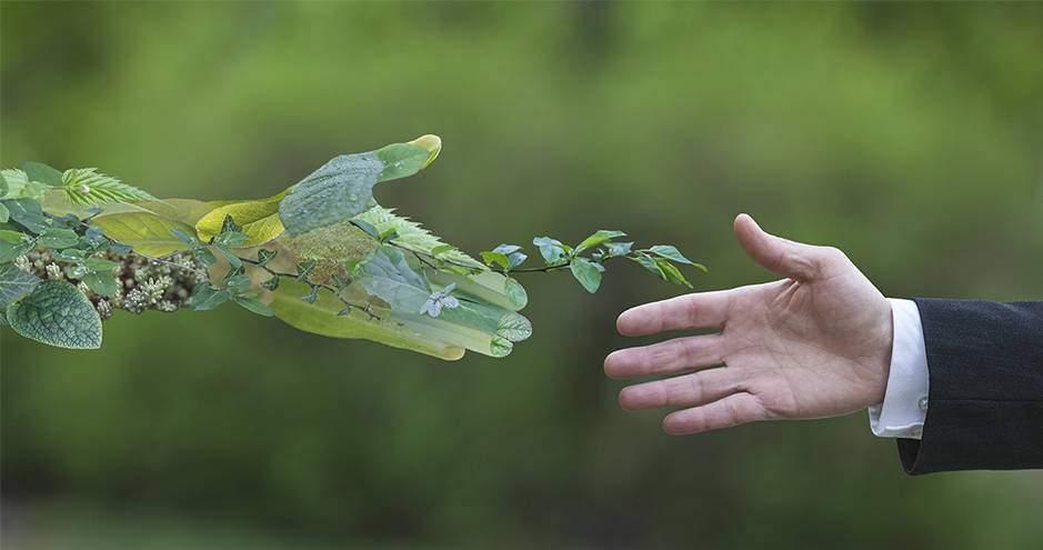 handshake with nature