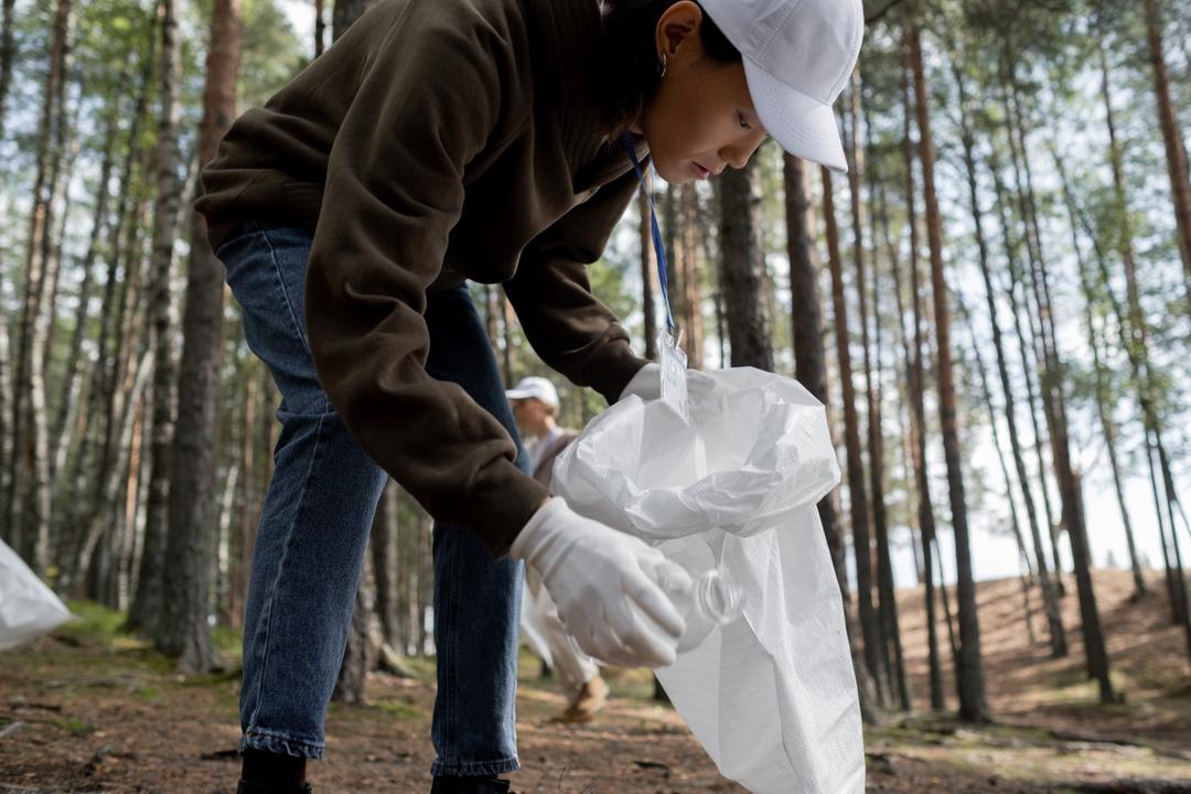 Waste Collection in the Environment