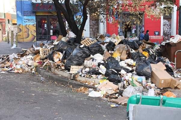 trash around a tree